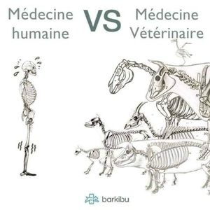 Meet your Posher, Casti véto